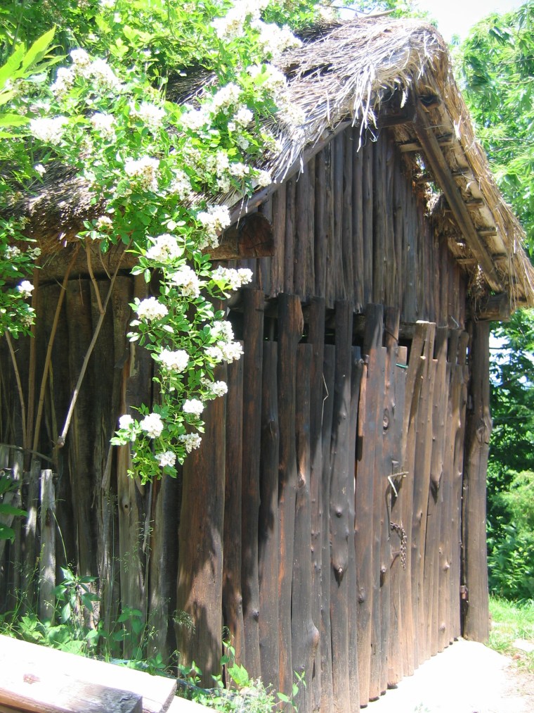 Tre fuga inizio giugno 007