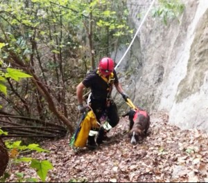 3285124_1847_2017_10_06_photo_00000274