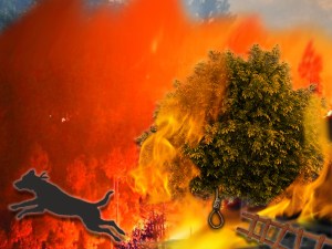 la furia pazza di valino CORRETTO 2