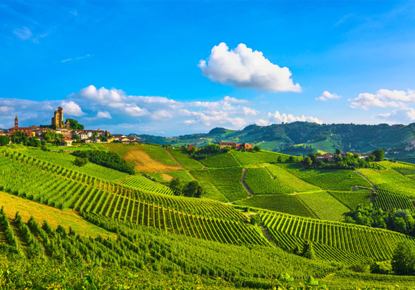 le langhe